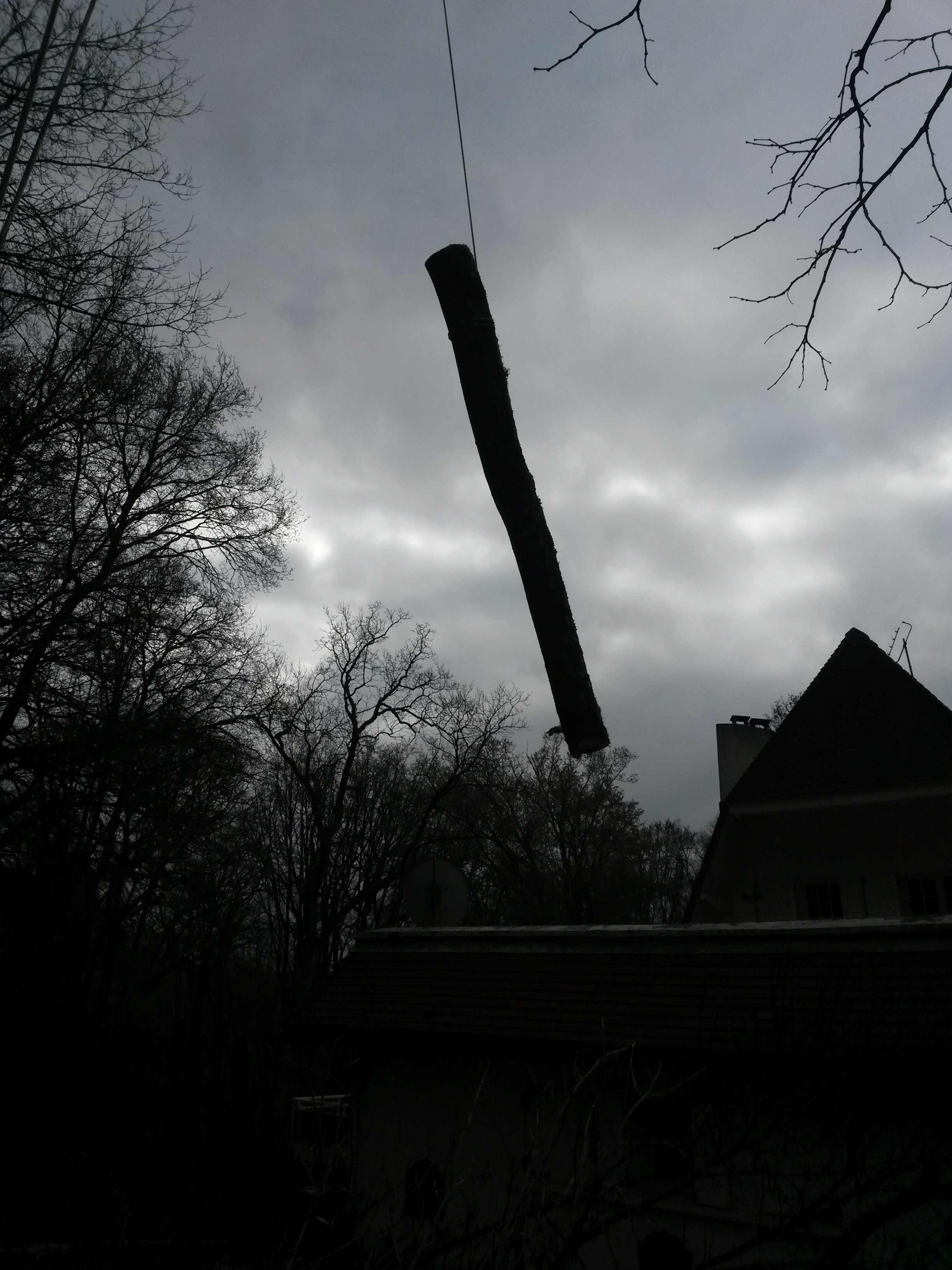 elagage abattage La Ferté sous Jouarre 77260